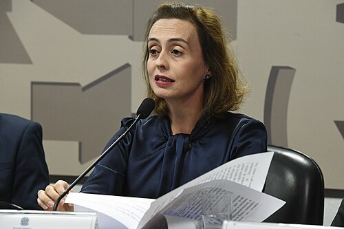 Retrato de Carolina de Assis Barros